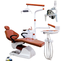 Fully Electric Deluxe Model